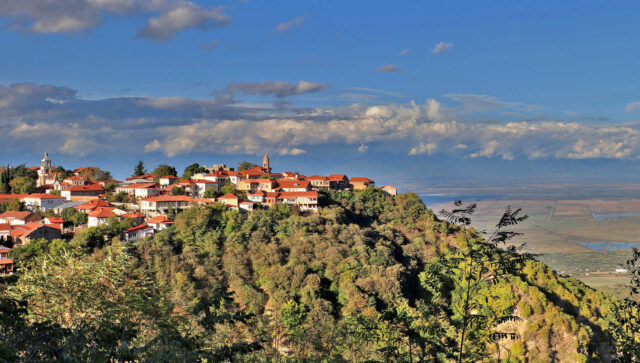 , Blog, Holidays Playful,