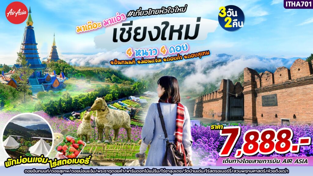 , ทัวร์มาเต๊อะ มาแอ่ว เชียงใหม่ ม่อนแจ่ม, Holidays Playful,