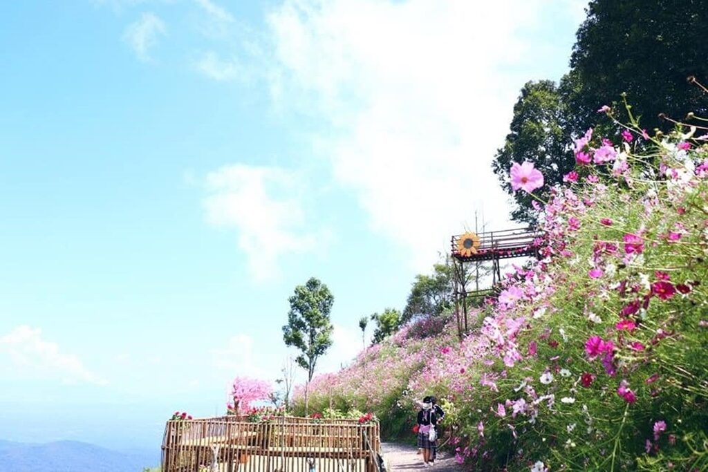 , ดอยม่อนแจ่ม แจ่มมากแม่, Holidays Playful,