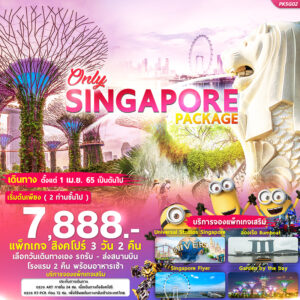 , แพ็คเกจเที่ยวสิงคโปร์ง่ายๆด้วยตัวเอง, Holidays Playful,
